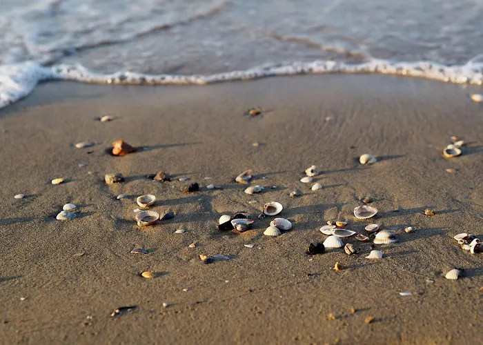 Welcoming Flat Next To The Sea For Up To 6 Guests * Bibione